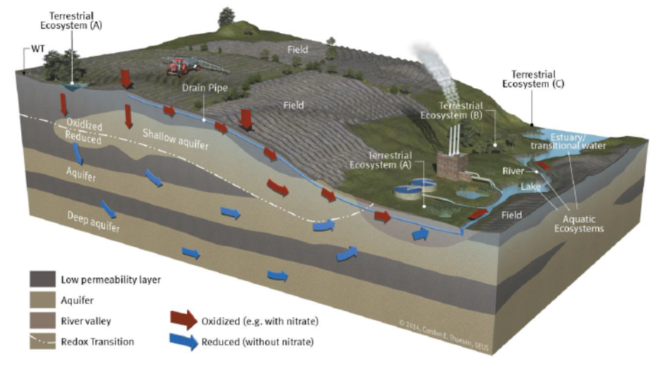 Ground-water Dependent Ecosystem